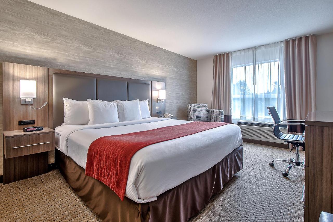 Comfort Inn & Suites South Calgary Exterior photo